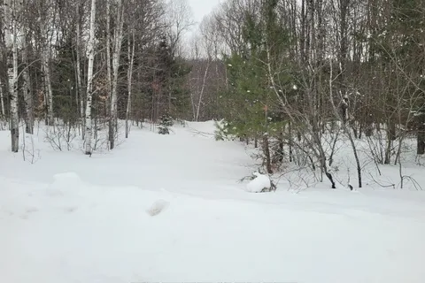 Lt 30 Con 1 Boundary Rd, Bonfield, ON P0H 1E0