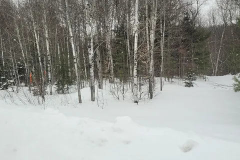 Lt 30 Con 1 Boundary Rd, Bonfield, ON P0H 1E0