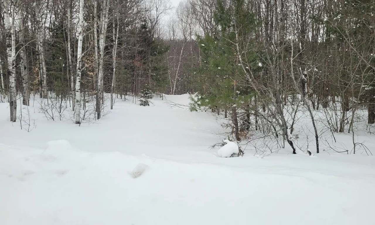 Lt 30 Con 1 Boundary Rd, Bonfield, ON P0H 1E0