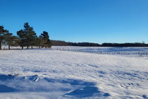 Part Lo Concession 12 Concession, Arran-Elderslie, ON N0H 1L0