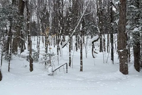 LOT 2 OLD ASPDIN Rd, Huntsville, ON P0B 1M0