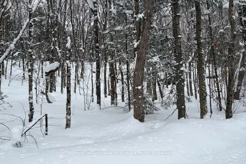 LOT 2 OLD ASPDIN Rd, Huntsville, ON P0B 1M0