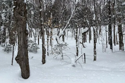 LOT 2 OLD ASPDIN Rd, Huntsville, ON P0B 1M0