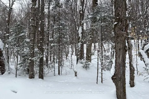 LOT 2 OLD ASPDIN Rd, Huntsville, ON P0B 1M0