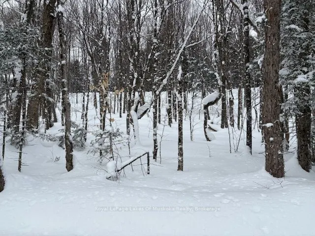 LOT 2 OLD ASPDIN Rd, Huntsville, ON P0B 1M0