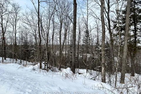 00 Upper Spruce Hedge Rd, Greater Madawaska, ON K0J 1G0