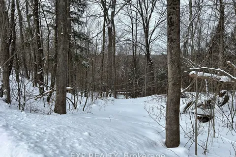 00 Upper Spruce Hedge Rd, Greater Madawaska, ON K0J 1G0