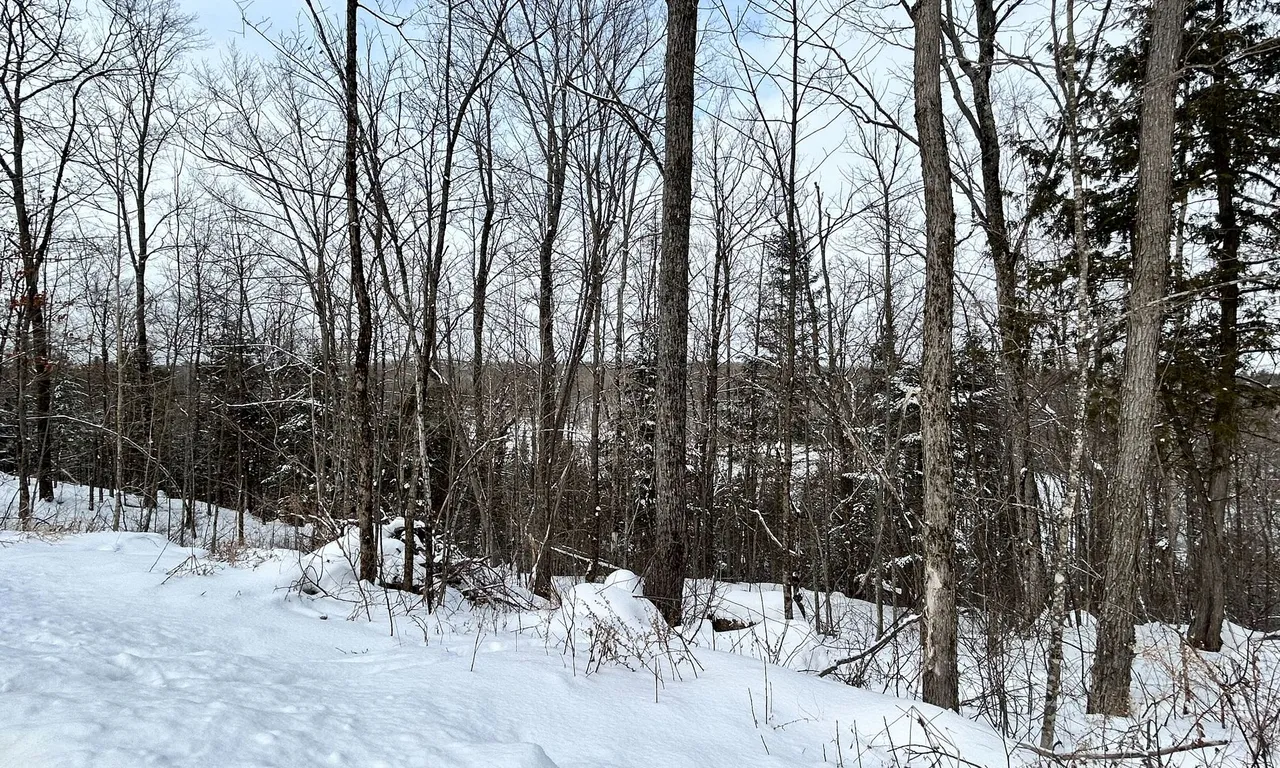 00 Upper Spruce Hedge Rd, Greater Madawaska, ON K0J 1G0