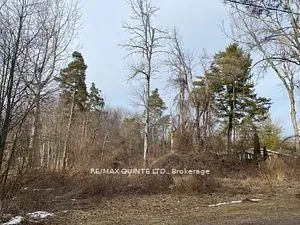 149 Evergreen Lane, Brighton, ON K0K 1H0