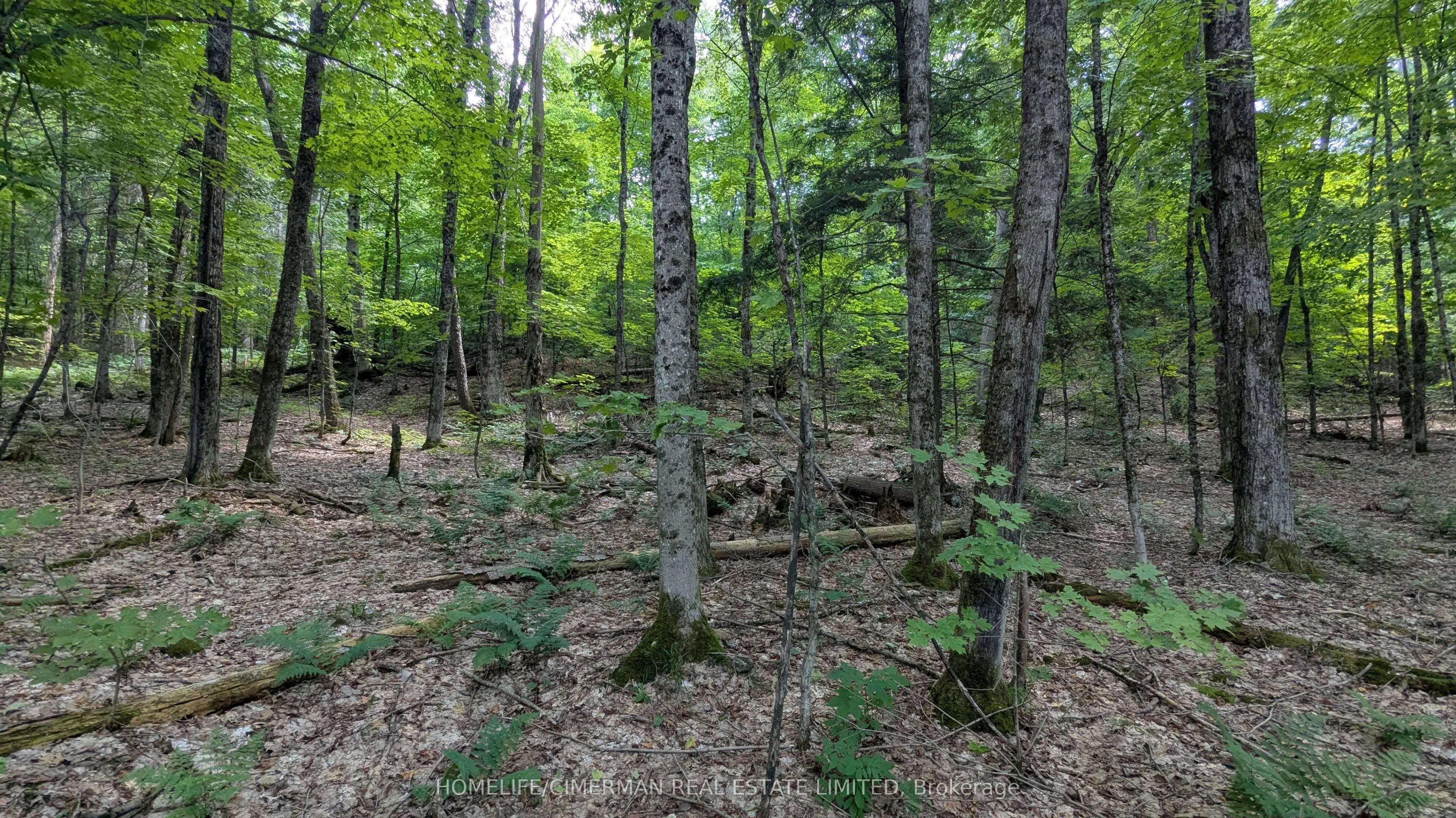 66 McCauley Road, Seguin, ON P0C 1J0