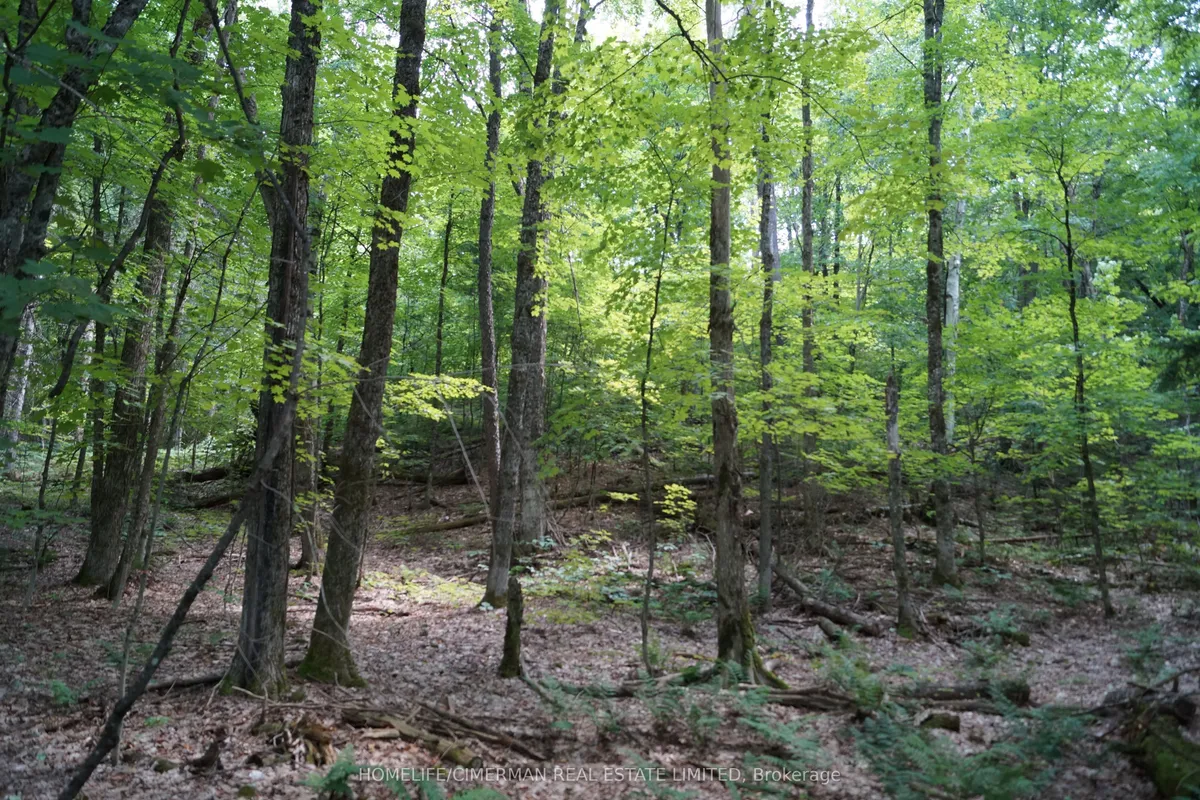 66 McCauley Road, Seguin, ON P0C 1J0