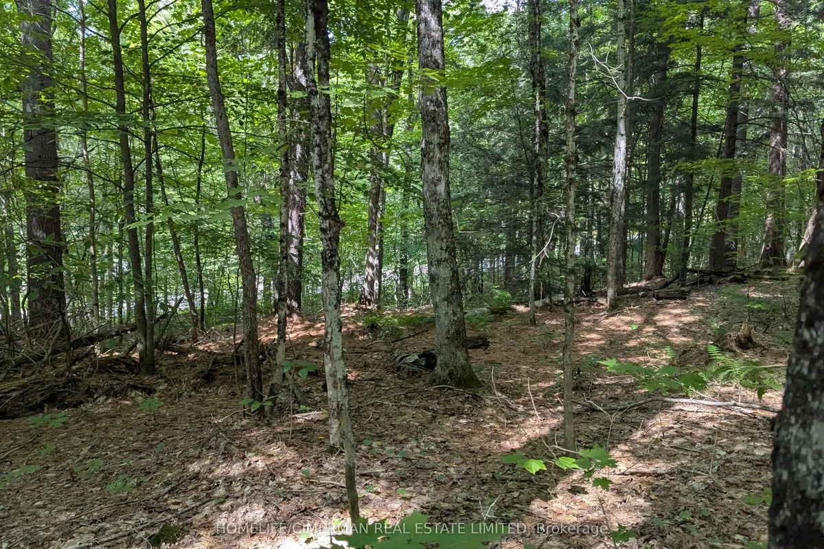 66 McCauley Road, Seguin, ON P0C 1J0