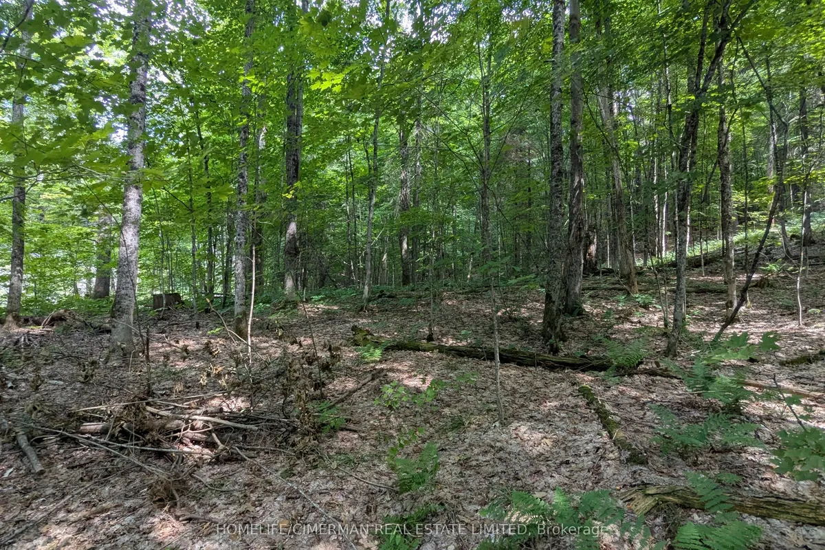 66 McCauley Road, Seguin, ON P0C 1J0