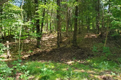 0 Beaver Mdws Road, Rideau Lakes, ON K0E 1G0