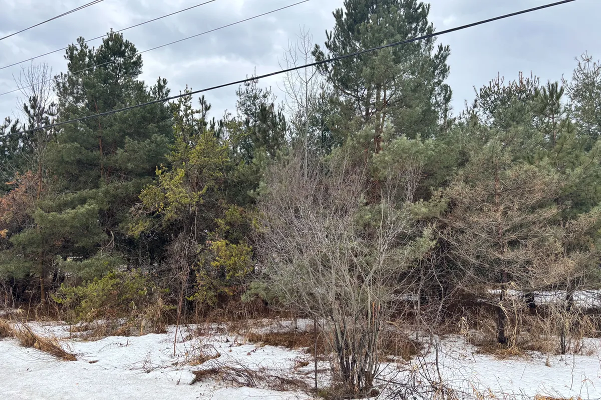 2876-1 County 16 Road, Merrickville-Wolford, ON K0G 1N0