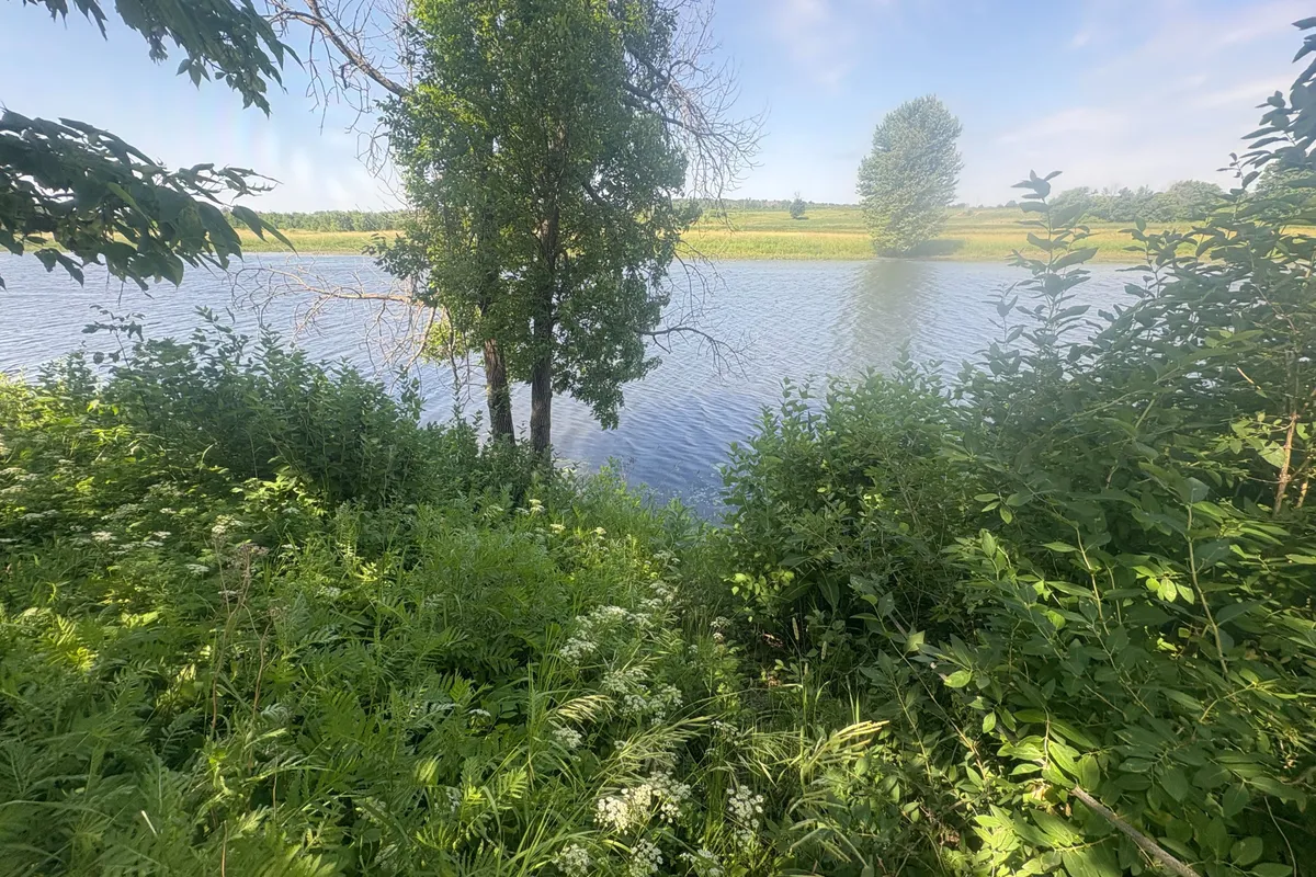 143 Gypsy Lane, ON K7S 3G7