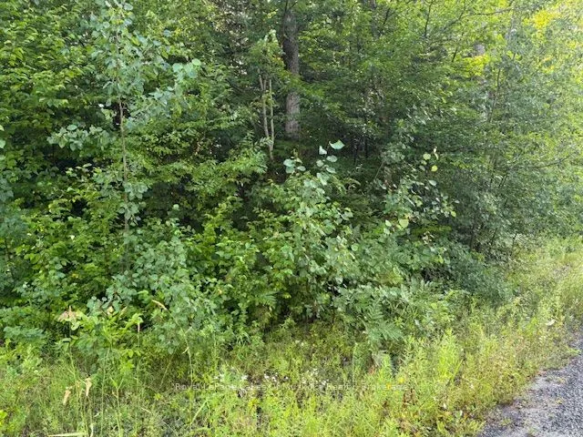 59 Summer Leigh Trail, Huntsville, ON P0B 1M0