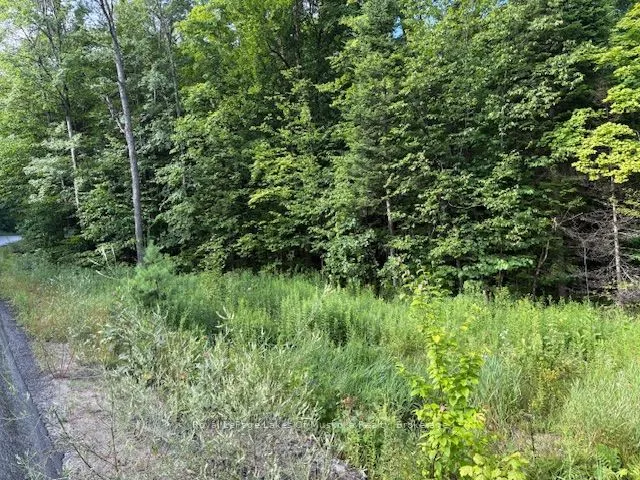 1788 Old Muskoka Road, Huntsville, ON P0B 1M0