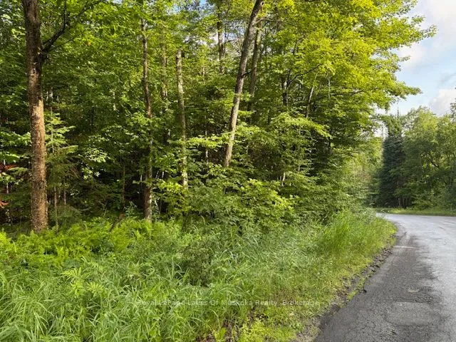 1788 Old Muskoka Road, Huntsville, ON P0B 1M0