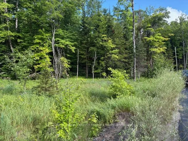 1788 Old Muskoka Road, Huntsville, ON P0B 1M0