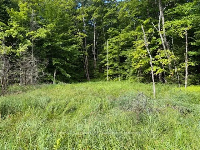 1788 Old Muskoka Road, Huntsville, ON P0B 1M0