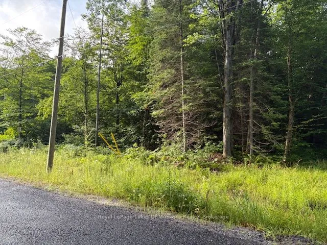 48 Summer Leigh Trail, Huntsville, ON P0B 1M0