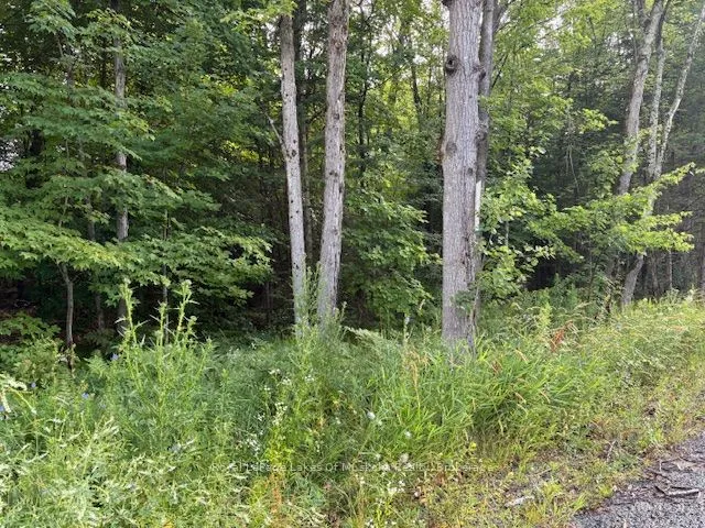 47 Summer Leigh Trail, Huntsville, ON P0B 1M0