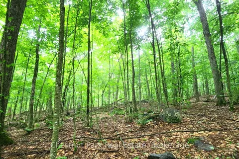 269 Old Muskoka Road, Machar, ON P0A 1H0