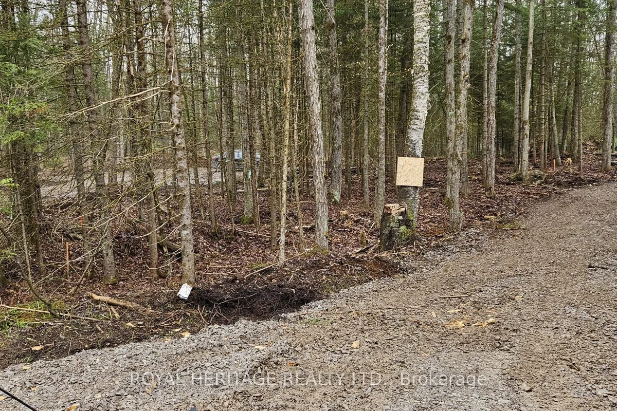 0A Reid Street, ON K0M 2A0