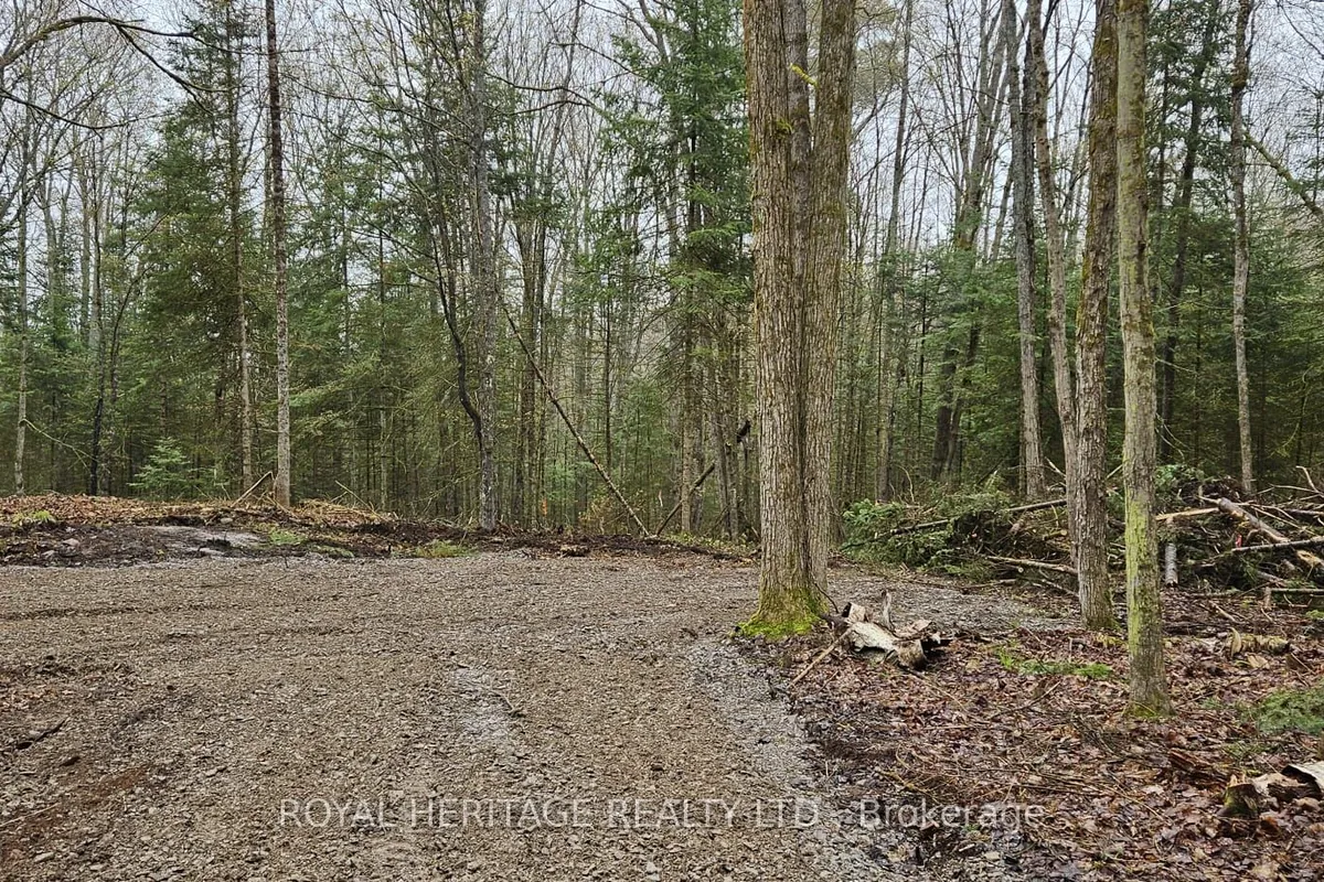 0B Reid Street, ON K0M 2A0