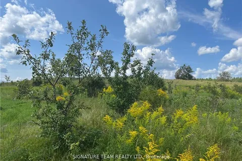 0 CODE Road, Laurentian Valley, ON K8A 6W4