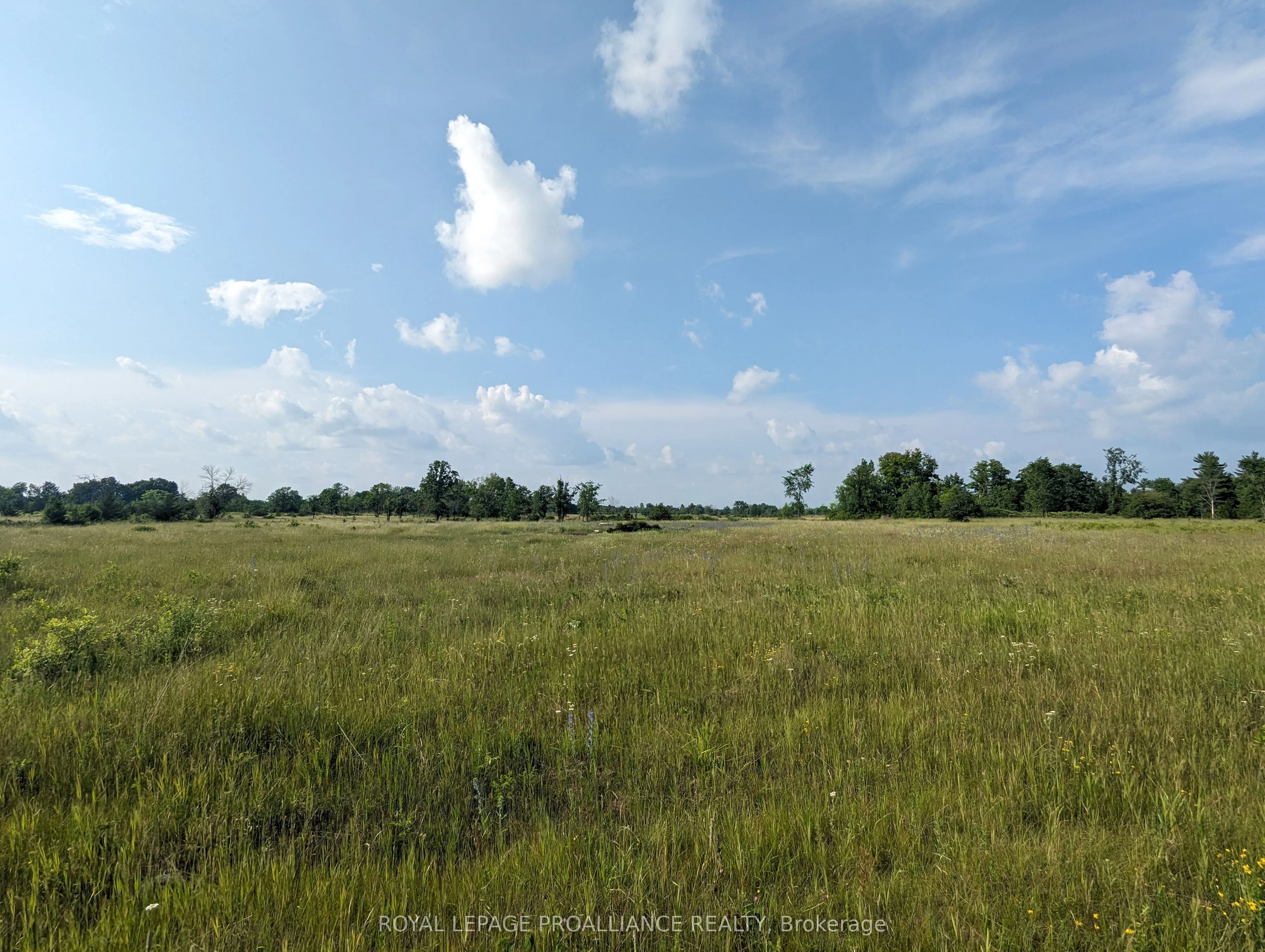 0 (B) Springbrook Road, Stirling-Rawdon, ON K0K 3C0