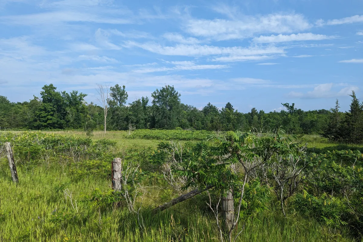 0 (B) Springbrook Road, Stirling-Rawdon, ON K0K 3C0