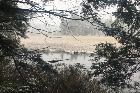 0 N/A Drive, Seguin, ON P2A 0B2