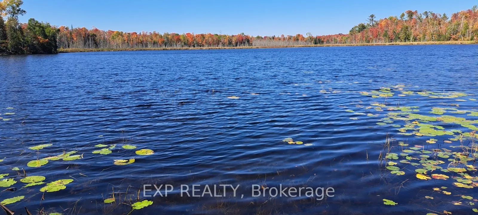 146 Thanet Lake Road, ON K0L 1W0