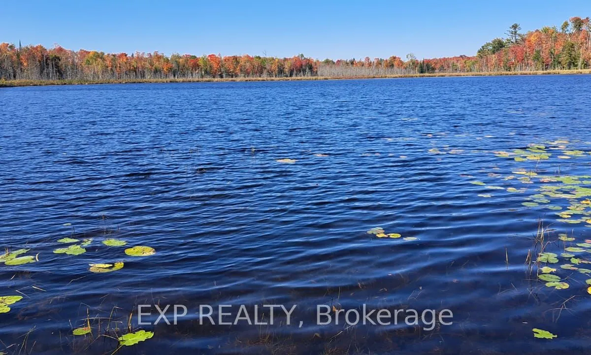 146 Thanet Lake Road, ON K0L 1W0