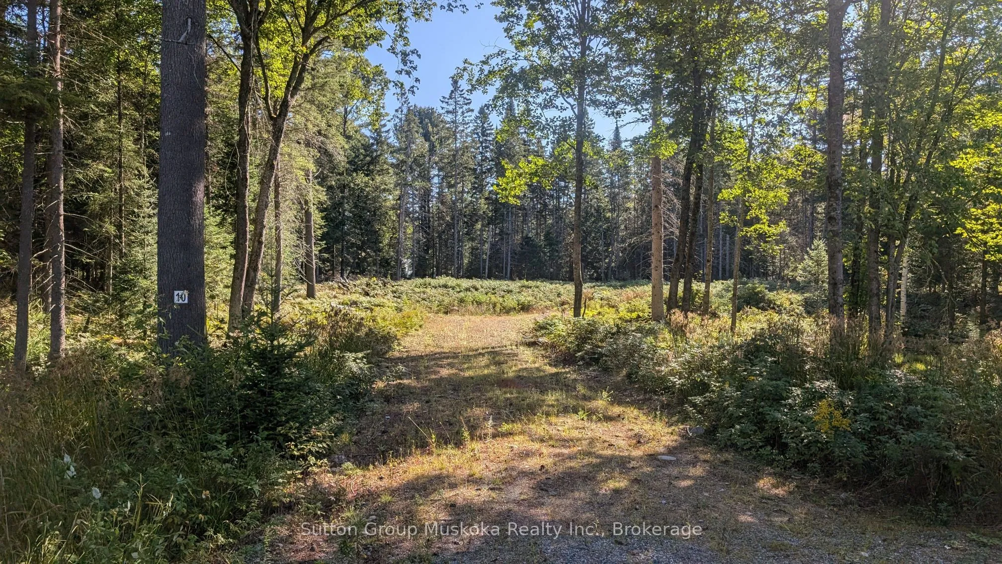 Lot 10 Crimson Lane, Huntsville, ON P0B 1L0