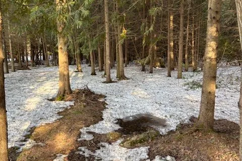 1 southgate srd 57 Road, ON N0G 2L0