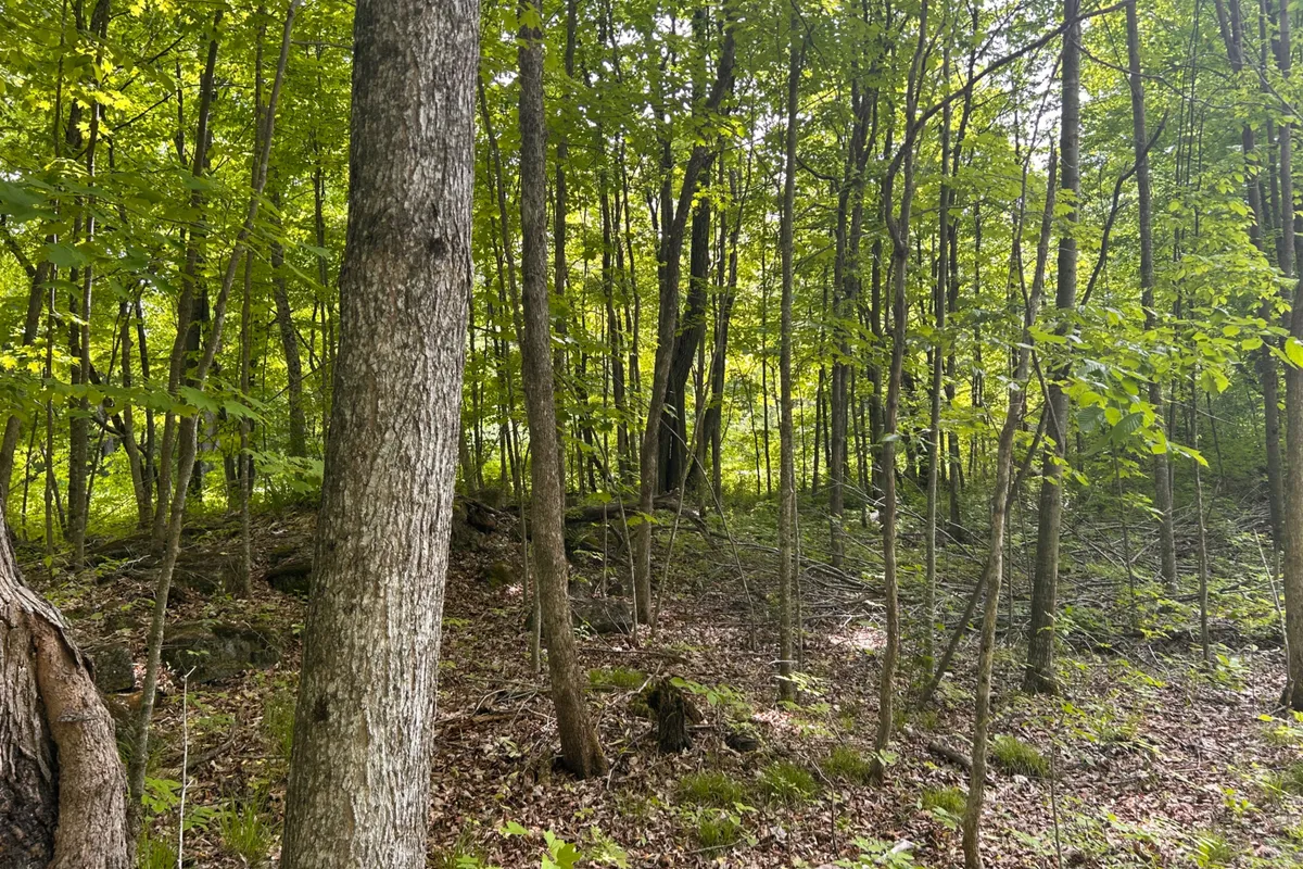 00 EBBS BAY Road, Drummond/North Elmsley, ON K7C 4K8