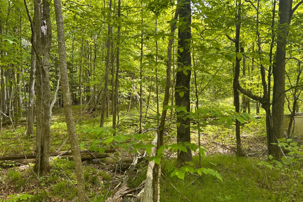 00 EBBS BAY Road, Drummond/North Elmsley, ON K7C 4K8