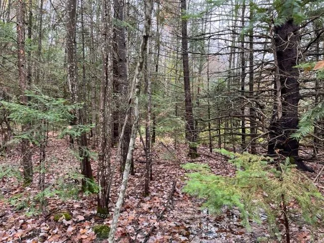 0 534 Highway, Nipissing, ON P0H 1W0