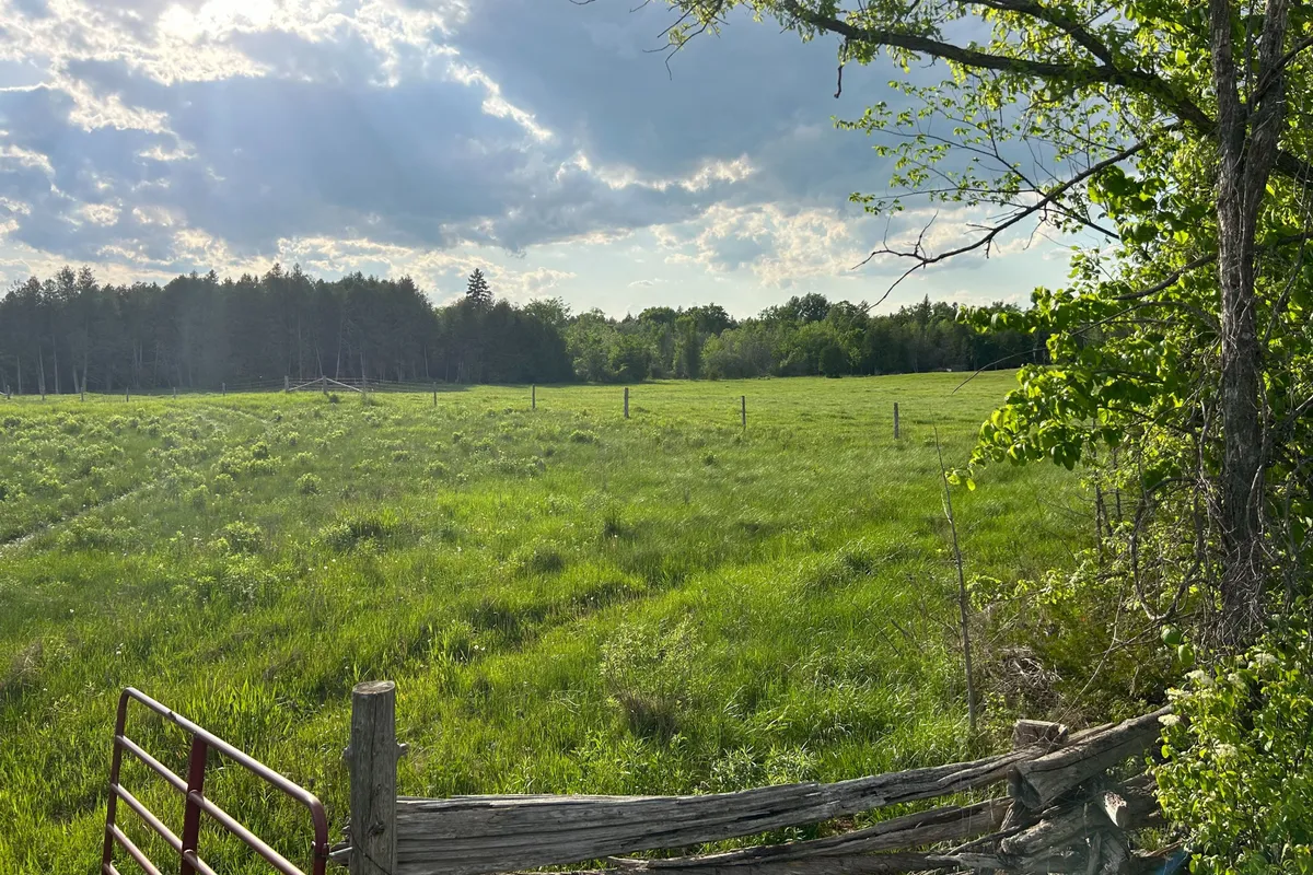 1982 Asphodel 8th Line, Asphodel-Norwood, ON K0L 2V0