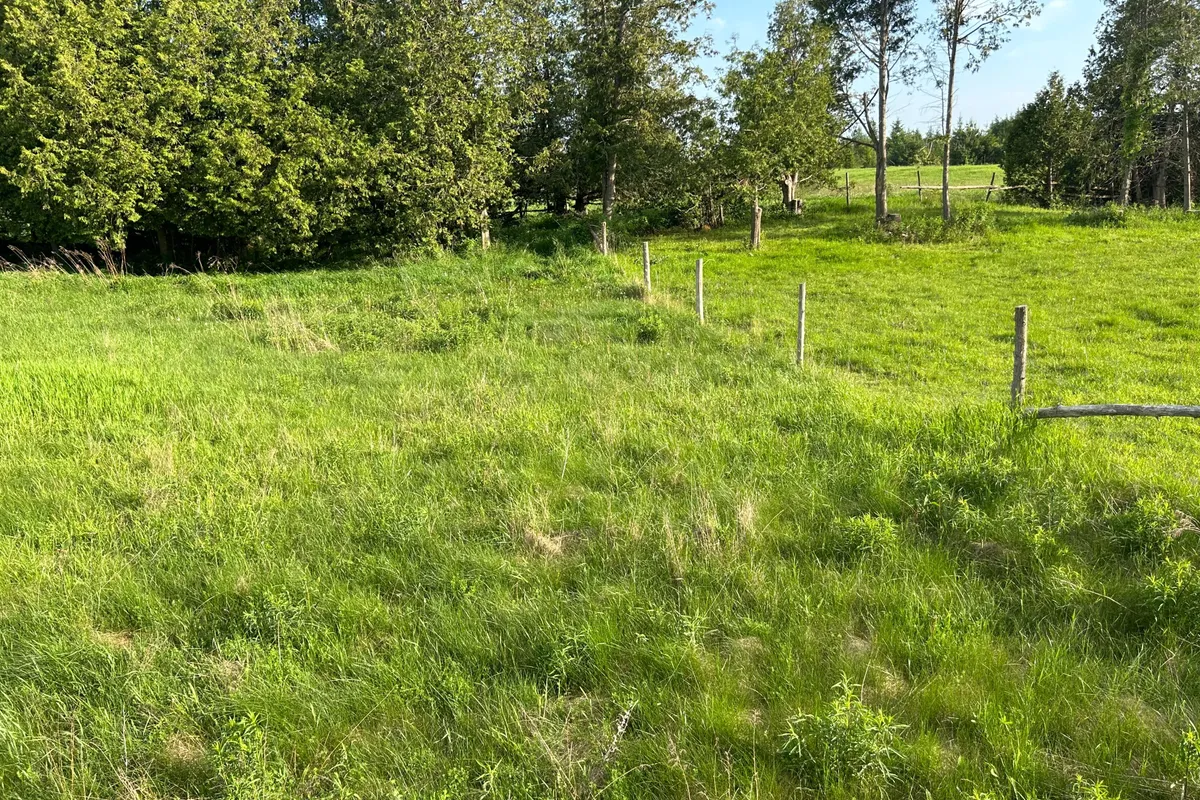 1982 Asphodel 8th Line, Asphodel-Norwood, ON K0L 2V0