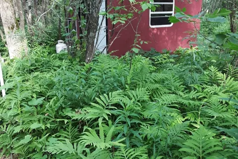 PT LT16 North Lunenburg Road, ON K0C 1R0