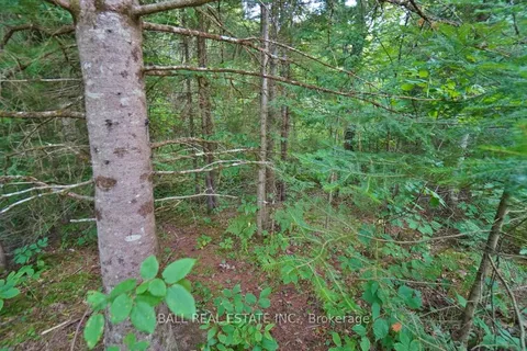 0 Glory Road, Hastings Highlands, ON K0L 1C0