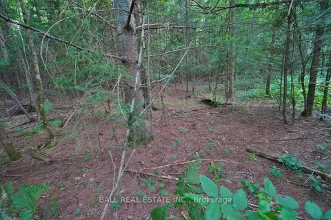 0 Glory Road, Hastings Highlands, ON K0L 1C0