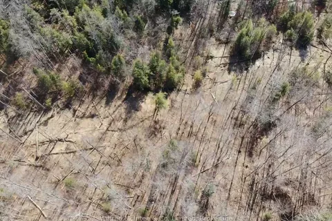 PT LT 31 CON 3 Tower Line, Central Huron, ON N0M 1G0