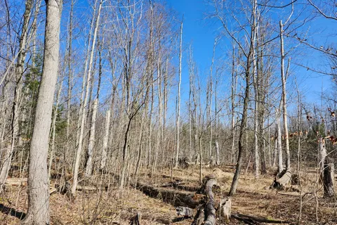 PT LT 31 CON 3 Tower Line, Central Huron, ON N0M 1G0