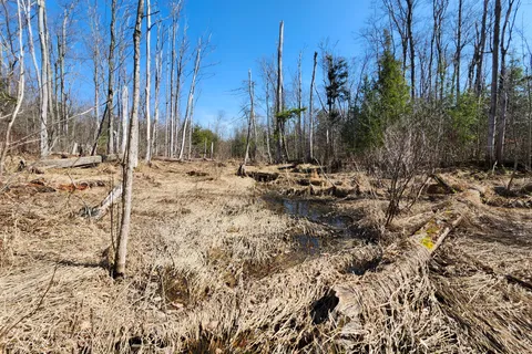 PT LT 31 CON 3 Tower Line, Central Huron, ON N0M 1G0