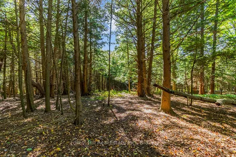 PTLT3 2 Concession, Meaford, ON N0H 1G0